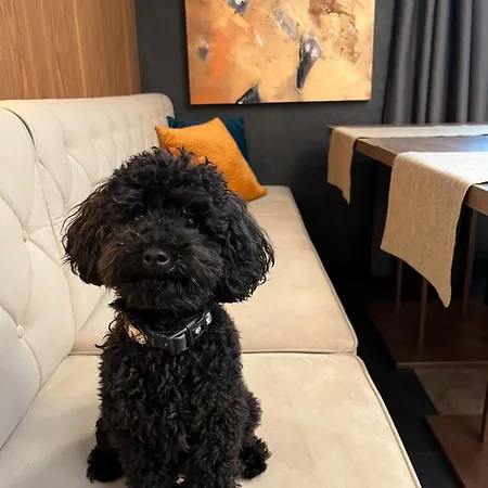 My Story Апарт-отель Сопот