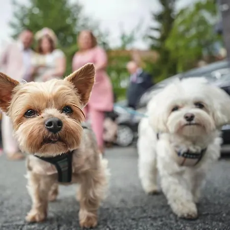 Aparthotel My Story Zoppot