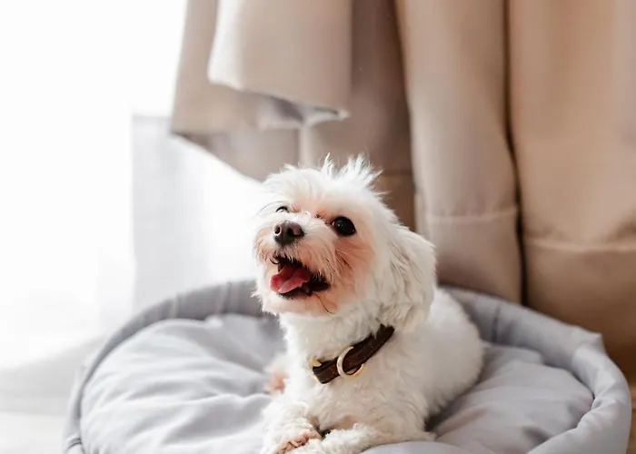 My Story 3* Сопот