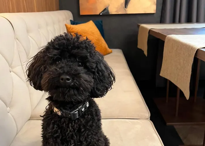 My Story Apartmanhotel Sopot