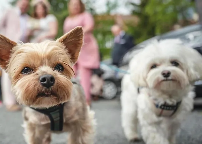 Lejlighedshotel My Story Sopot